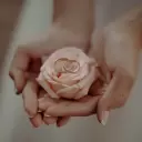 Чек-лист цветов на свадьбу